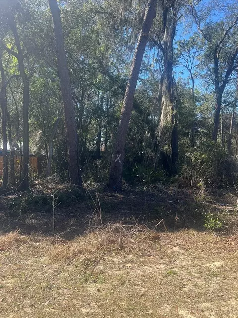 W Second Avenue, Umatilla, FL 32784