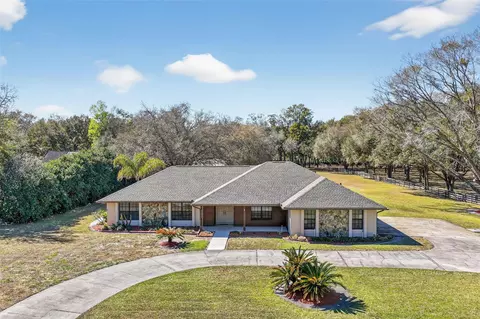 32239 Wolf Branch Ln, Sorrento, FL 32776