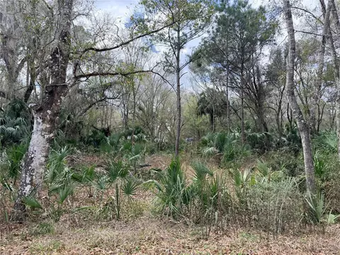 736 S Sickle Pt, Inverness, FL 34450