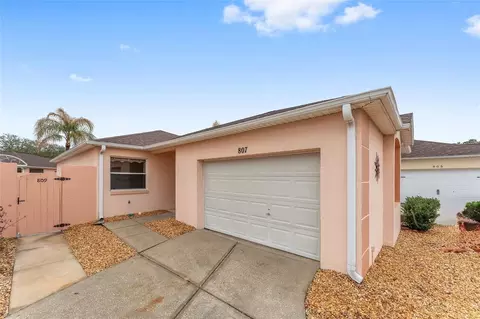 807 Alvarado Pl, The Villages, FL 32159