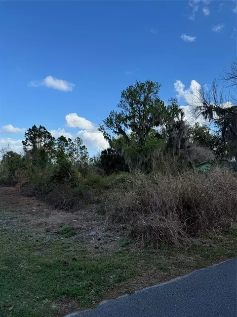 Cove Road, Tavares, FL 32778