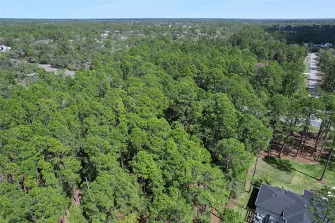 Cashew Street, Eustis, FL 32736 photo 18