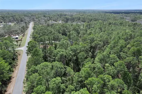 Cashew Street, Eustis, FL 32736 photo 17