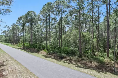 Cashew Street, Eustis, FL 32736 photo 3