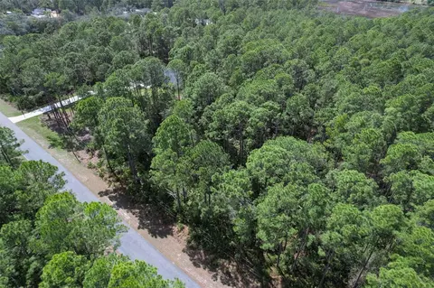 Cashew Street, Eustis, FL 32736 photo 14