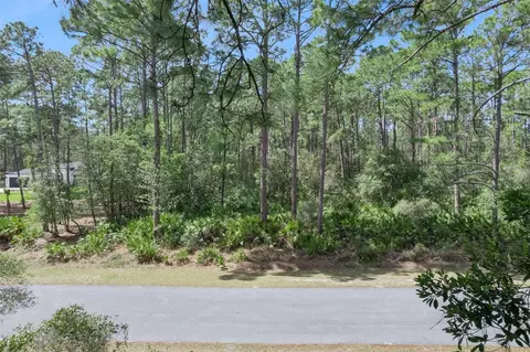 Cashew Street, Eustis, FL 32736 photo 4