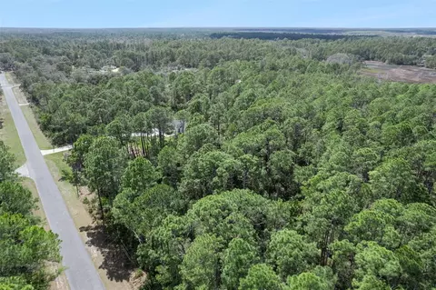 Cashew Street, Eustis, FL 32736 photo 10