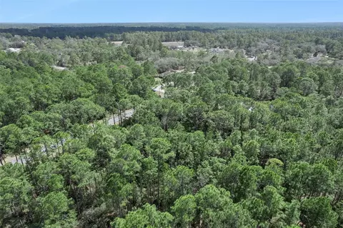 Cashew Street, Eustis, FL 32736 photo 22