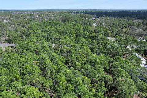 Cashew Street, Eustis, FL 32736 photo 12