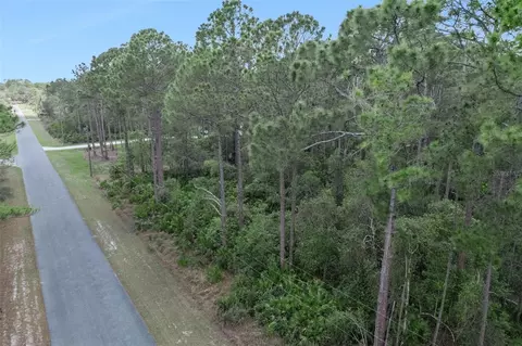 Cashew Street, Eustis, FL 32736 photo 6