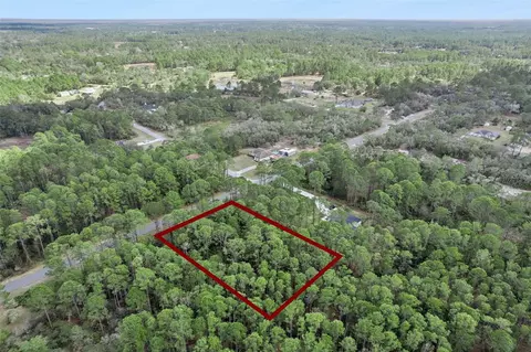 Cashew Street, Eustis, FL 32736 photo 16