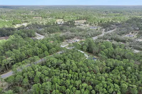 Cashew Street, Eustis, FL 32736 photo 15