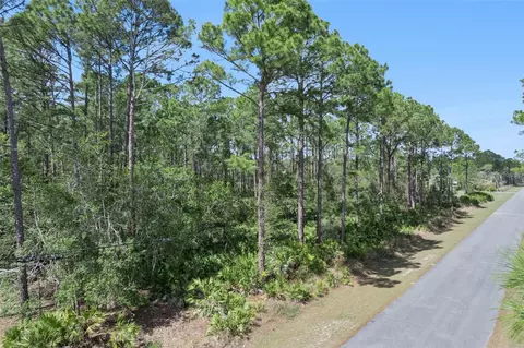 Cashew Street, Eustis, FL 32736 photo 5