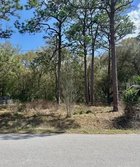 tbd SE 99th Ter, Belleview, FL 34420