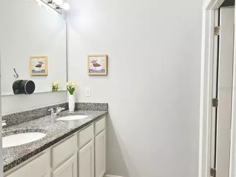 Bath - 3048 Bethpage Loop, Mount Dora, FL 32757 photo 2 of 3