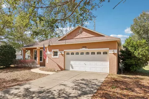 12829 Scout Ct, Grand Island, FL 32735