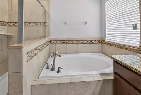 Bath - 5269 Royce Dr, Mount Dora, FL 32757 photo 3 of 5