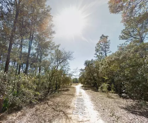 112 Stack Ave, Interlachen, FL 32148 photo 9