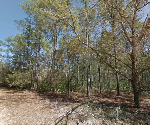 112 Stack Ave, Interlachen, FL 32148 photo 11