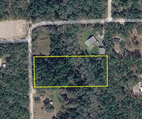 112 Stack Ave, Interlachen, FL 32148 photo 3