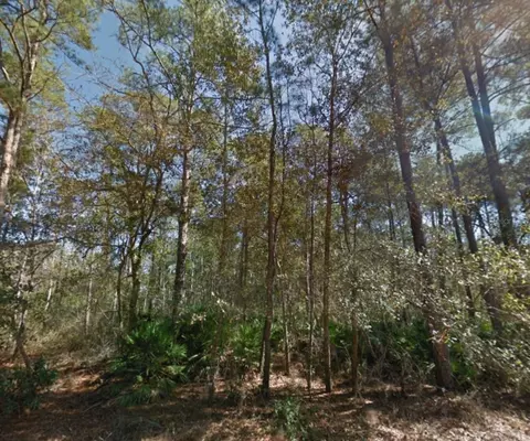112 Stack Ave, Interlachen, FL 32148 photo 8