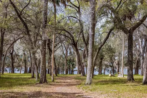 Forest 02 Road, Umatilla, FL 32784