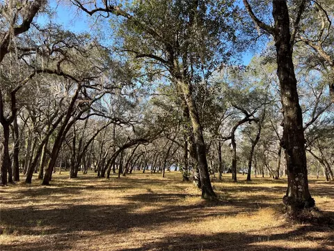 Forest 02 Road, Umatilla, FL 32784