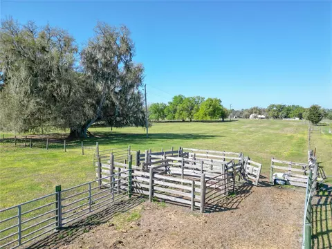 721 Cr 721, Webster, FL 33597 photo 10