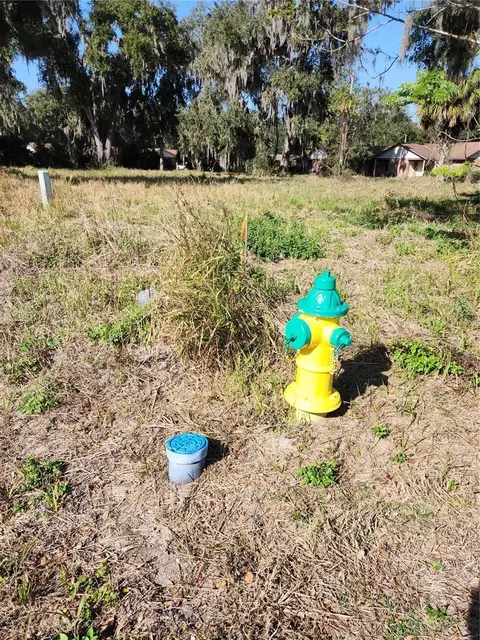3814 E C 478, Webster, FL 33597 photo 5