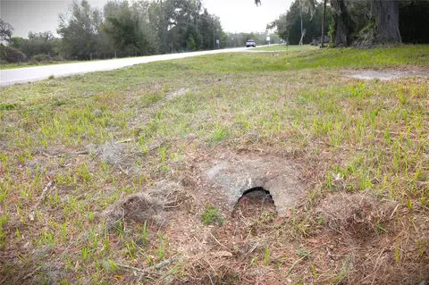 3814 E C 478, Webster, FL 33597 photo 4