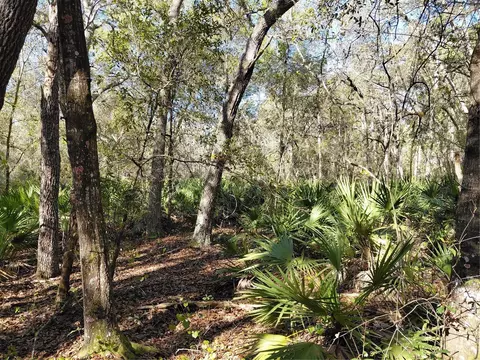 36031 Butternut Dr, Webster, FL 33597 photo 13