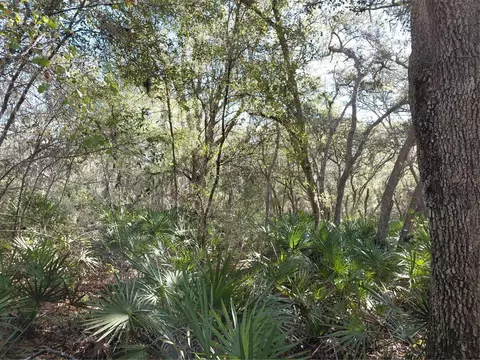 36031 Butternut Dr, Webster, FL 33597 photo 10