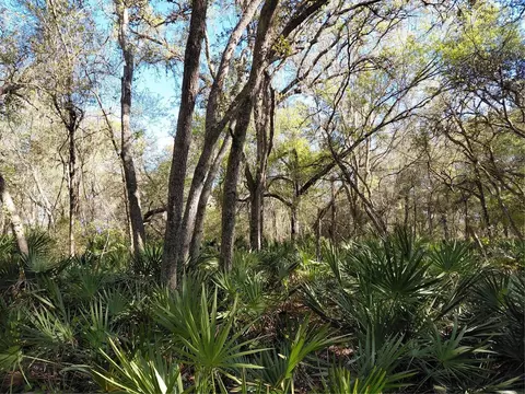 36031 Butternut Dr, Webster, FL 33597 photo 7