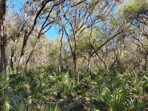 36031 Butternut Dr, Webster, FL 33597 photo 5