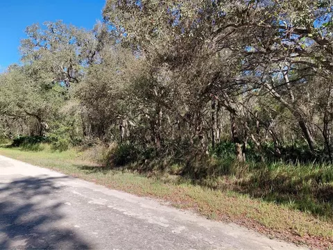 36031 Butternut Dr, Webster, FL 33597 photo 2