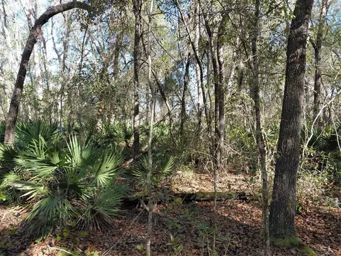 36031 Butternut Dr, Webster, FL 33597 photo 14