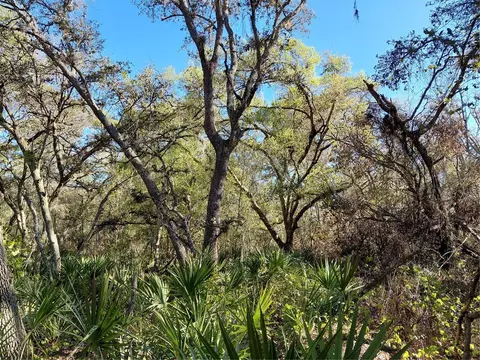 36031 Butternut Dr, Webster, FL 33597 photo 4