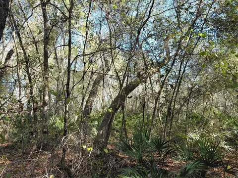 36031 Butternut Dr, Webster, FL 33597 photo 9