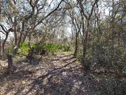 8123 Wheystone Dr, Webster, FL 33597