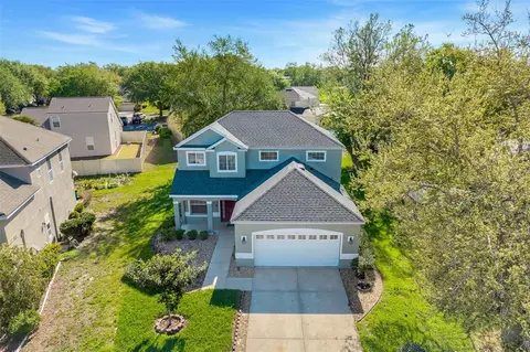 View/Area - 413 Split Oak Ct, Eustis, FL 32736 photo 1 of 10