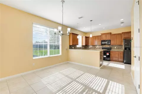 Other - 413 Split Oak Ct, Eustis, FL 32736 photo 3 of 10