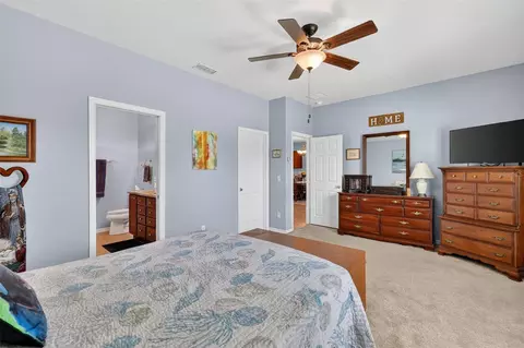 Bedroom - 30112 Kladruby Pt, Mount Dora, FL 32757 photo 2 of 5