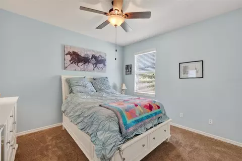 Bedroom - 30112 Kladruby Pt, Mount Dora, FL 32757 photo 3 of 5