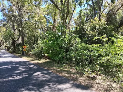 10 Th St, Webster, FL 33597