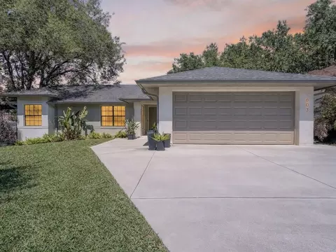 603 Chautauqua Dr, Mount Dora, FL 32757