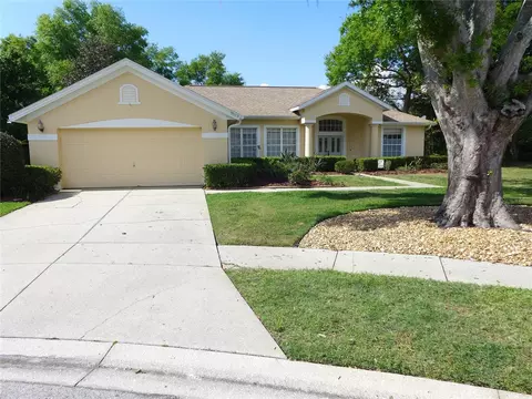 9003 Oakcrest Cir, Mount Dora, FL 32757