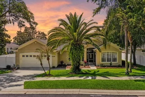 13319 Via Roma Cir, Clermont, FL 34711