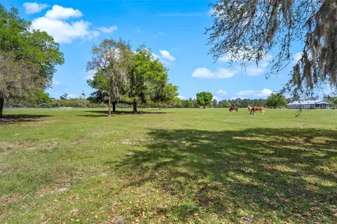 Winterwillow Lane, Eustis, FL 32736 photo 7