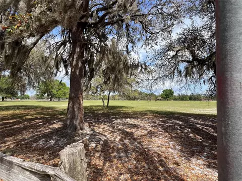 Winterwillow Lane, Eustis, FL 32736 photo 22