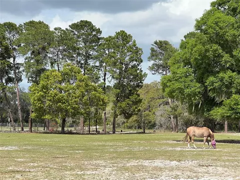 Winterwillow Lane, Eustis, FL 32736 photo 8
